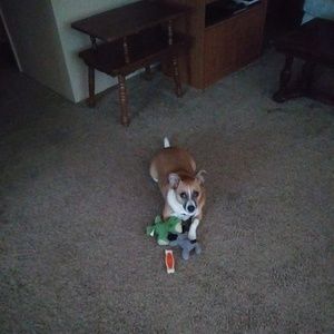 Meet your Posher, Amy